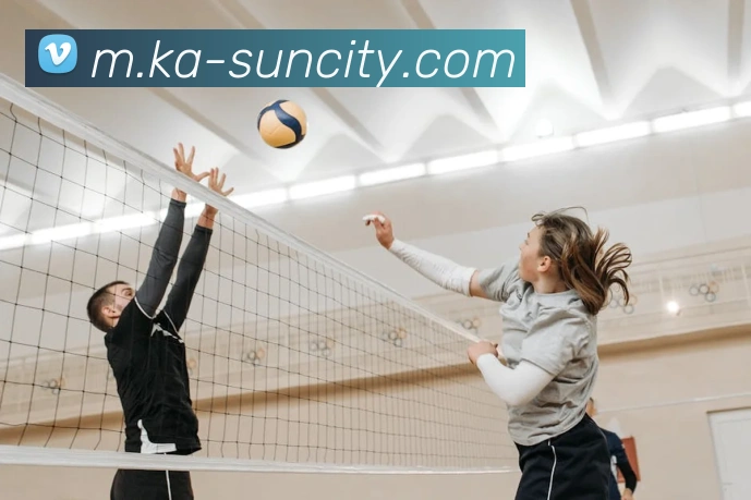 澳门太阳城平台生态图