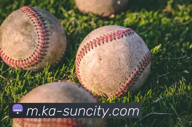 澳门太阳城全站App